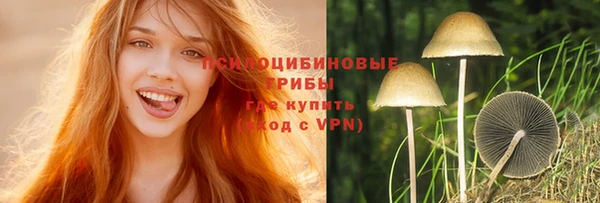 PSILOCYBIN Белоозёрский