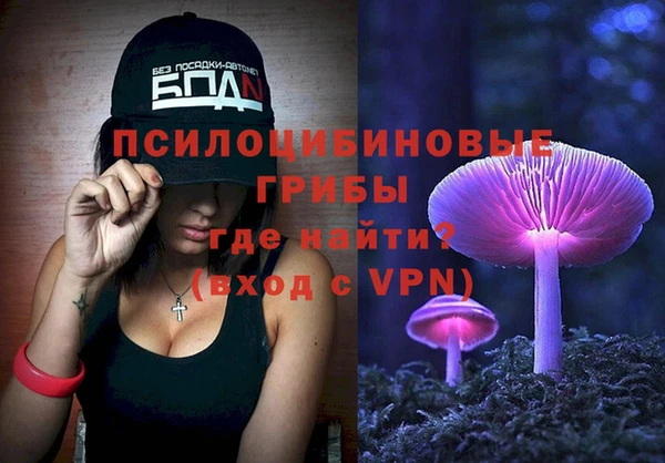ешки Белокуриха