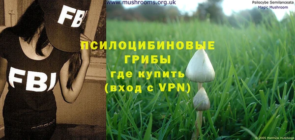 PSILOCYBIN Белоозёрский