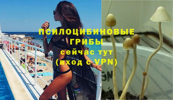 PSILOCYBIN Белоозёрский