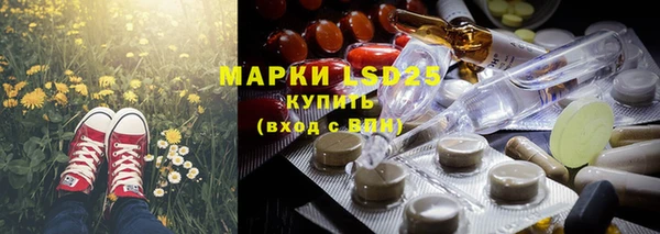 ешки Белокуриха