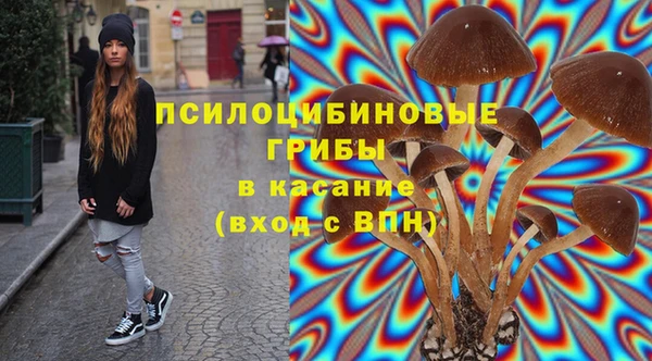 PSILOCYBIN Белоозёрский