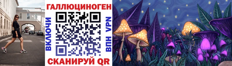 Псилоцибиновые грибы MAGIC MUSHROOMS  мега сайт  мориарти какой сайт  Бугульма 