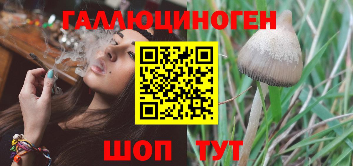 Галлюциногенные грибы Psilocybe Бугульма
